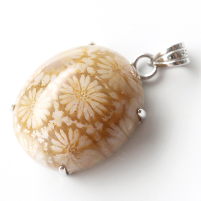 フォシルコーラル ペンダント 珊瑚化石 1点物 Silver925 天然石