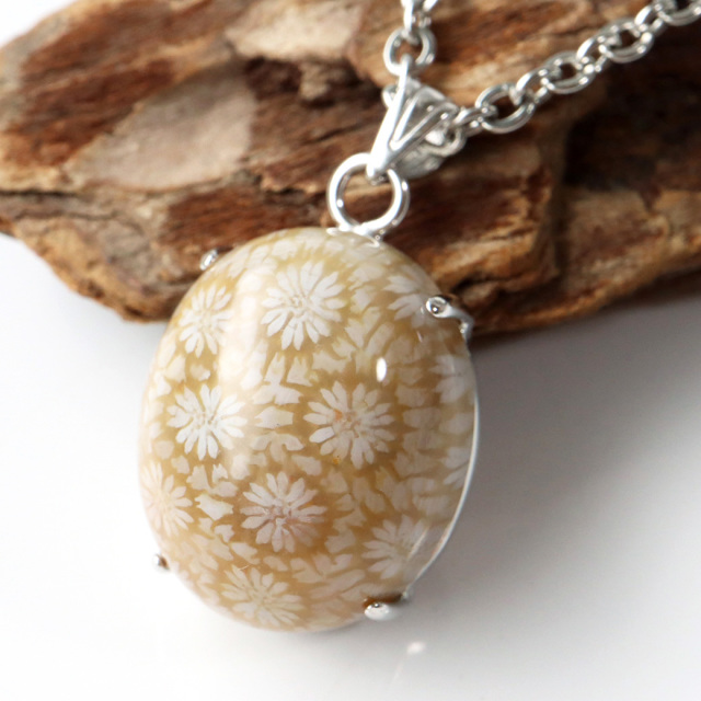 フォシルコーラル ペンダント 珊瑚化石 1点物 Silver925 天然石