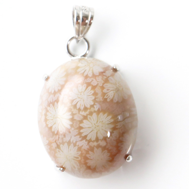 フォシルコーラル ペンダント 珊瑚化石 1点物 Silver925 天然石