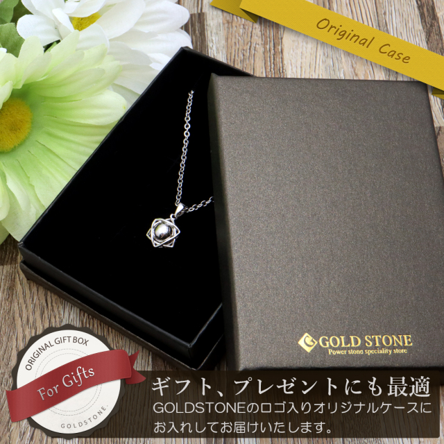 ギベオン 隕石 大衛星 ペンダント Silver925 メテオライト パワーストーン