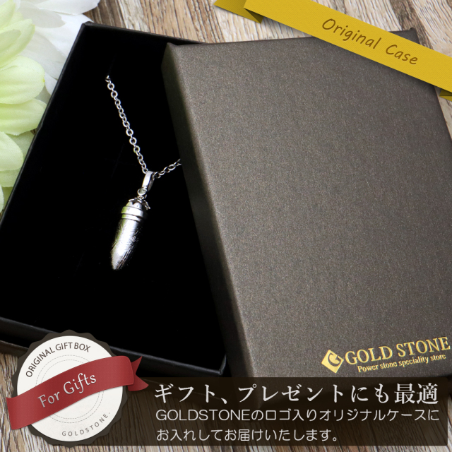 ギベオン 隕石 弾丸型ペンダント モルダバイト付き Silver925