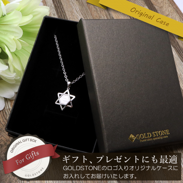 ギベオン 隕石 ネックレス 天然石 ペンダント ナミビア産 六芒星 Silver925 ステンレスチェーン付き