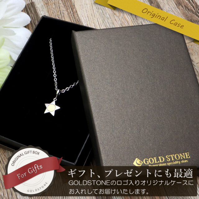 ギベオン 隕石 ネックレス 天然石 ペンダント ナミビア産 スター 星形 Silver925 ステンレスチェーン付き