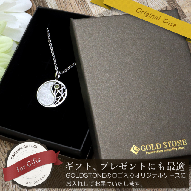 ギベオン 隕石 ネックレス 太極 天然石 ペンダント モルダバイト付き Silver925 メテオライト パワーストーン