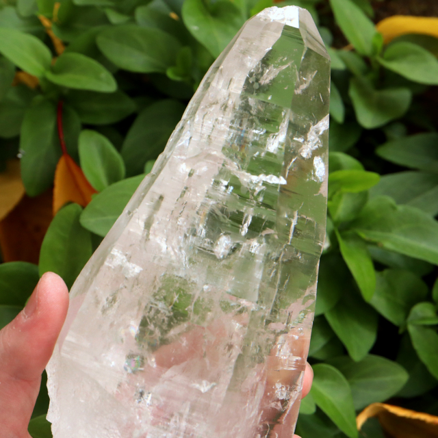 レムリアンシード 水晶 ポイント 原石 ブラジル バイーア州 セントセ産 クリスタル 浄化 単晶 高さ17.5cm 1点もの AAAAA+ 虹入り