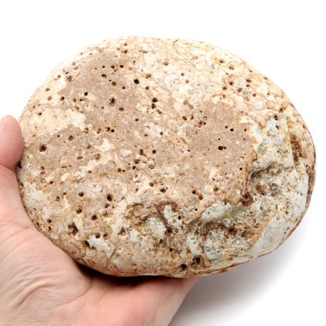 姫川薬石 糸魚川産 自然石 特大サイズ 1点もの お風呂用 多用途 天然石 原石 パワーストーン 浄化グッズ 癒し ヒーリング プレゼント
