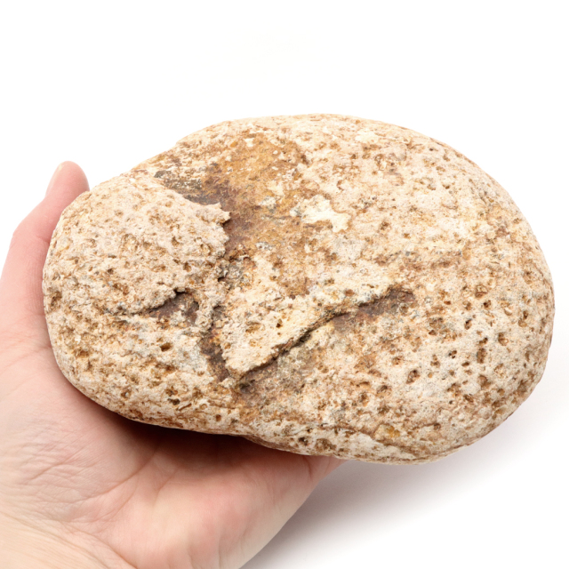 姫川薬石 糸魚川産 自然石 特大サイズ 1点もの お風呂用 多用途 天然石 原石 パワーストーン 浄化グッズ 癒し ヒーリング プレゼント