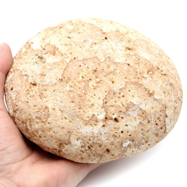 姫川薬石 糸魚川産 自然石 特大サイズ 1点もの お風呂用 多用途 天然石 原石 パワーストーン 浄化グッズ 癒し ヒーリング