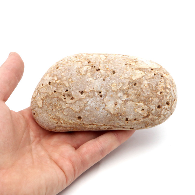 姫川薬石 糸魚川産 自然石 特大サイズ 1点もの お風呂用 多用途 天然石 原石 パワーストーン 浄化グッズ 癒し ヒーリング プレゼント