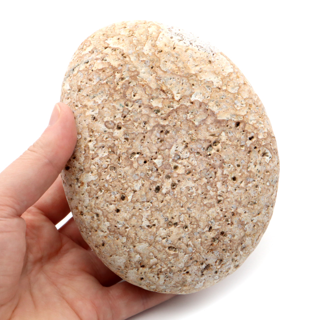 姫川薬石 糸魚川産 自然石 特大サイズ 1点もの お風呂用 多用途 天然石 原石 パワーストーン 浄化グッズ 癒し ヒーリング プレゼント