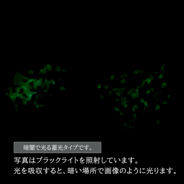 ホタルガラス ピアス レディース 揺れる おしゃれ 光る ケラママリン フックピアス  沖縄 お土産 琉球