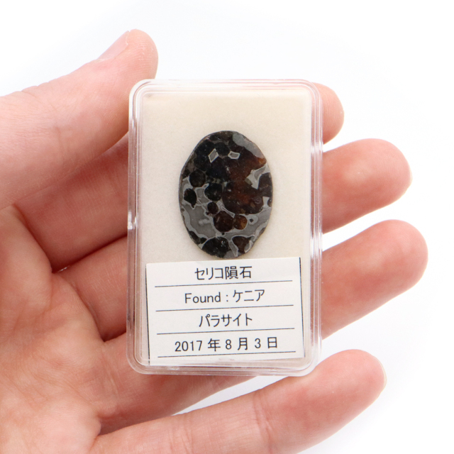 パラサイト隕石 ケニア セリコ産 隕石標本 パワーストーン 1点物 石鉄隕石