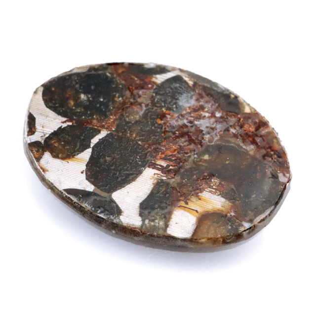 パラサイト隕石 ケニア セリコ産 重量1.8g 隕石標本 パワーストーン 1