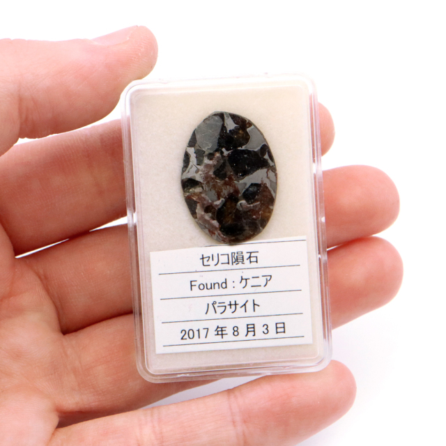 パラサイト隕石 ケニア セリコ産 重量1.8g 隕石標本 パワーストーン 1