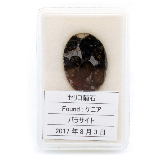 パラサイト隕石 ケニア セリコ産 隕石標本 パワーストーン 1点物 石鉄隕石