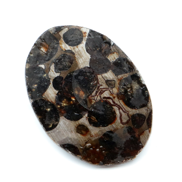 ◆パラサイト隕石◆セリコ隕石◆ケニア産◆ルース◆石鉄隕石◆#ha◆ パラサイト隕石 ケニア セリコ産 重量1.9g 隕石標本