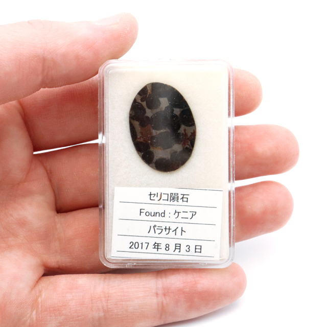 パラサイト隕石 ケニア セリコ産 重量1.9g 隕石標本