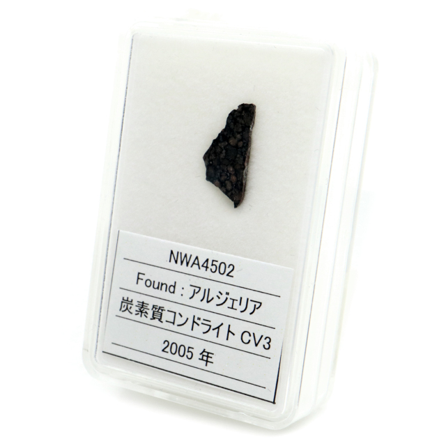 NWA4502 アルジェリア産 0.3g 炭素質コンドライト CV3 meteorite Ordinary Carbonaceous chondrite 1点物