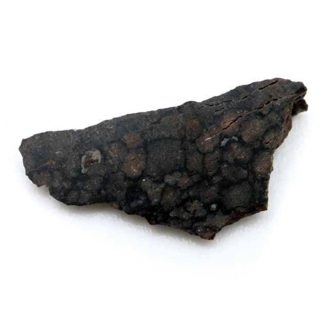 NWA4502 アルジェリア産 0.3g 炭素質コンドライト CV3 meteorite Ordinary Carbonaceous chondrite 1点物