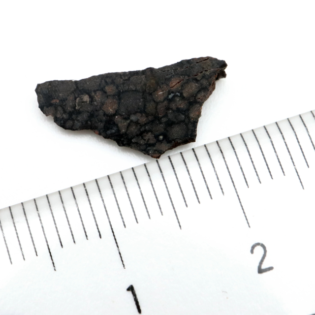 NWA4502 アルジェリア産 0.3g 炭素質コンドライト CV3 meteorite Ordinary Carbonaceous chondrite 1点物