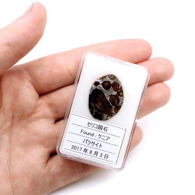 パラサイト隕石 ケニア セリコ産 重量1.4g 隕石標本 パワーストーン 1点物 石鉄隕石