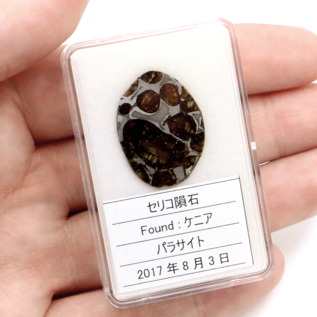 パラサイト隕石 ケニア セリコ産 重量1.4g 隕石標本 パワーストーン 1点物 石鉄隕石