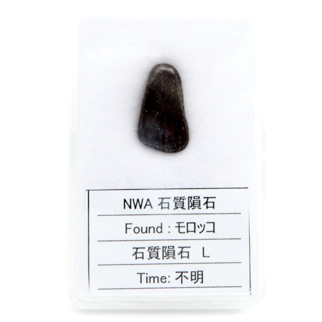 NWA石質隕石 モロッコ産 1.3g 石質隕石H Stony meteorite 1点物
