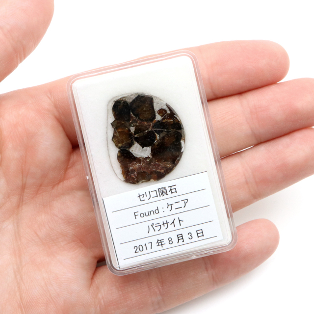 パラサイト隕石 ケニア セリコ産 重量2.1g 隕石標本 パワーストーン 1点物 石鉄隕石
