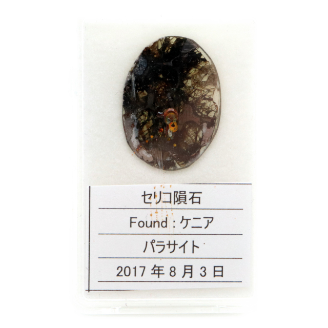 パラサイト隕石 ケニア セリコ産 重量0.8g 隕石標本 パワーストーン 1点物 石鉄隕石
