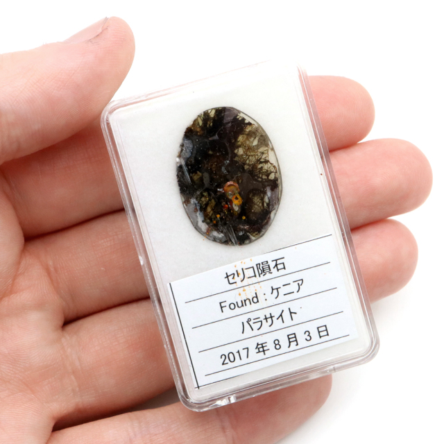 パラサイト隕石 ケニア セリコ産 重量0.8g 隕石標本 パワーストーン 1点物 石鉄隕石