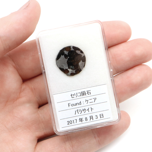 パラサイト隕石 ケニア セリコ産 重量1.0g 隕石標本 パワーストーン 1点物 石鉄隕石