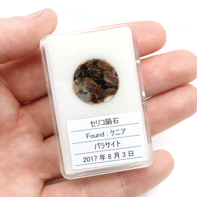 パラサイト隕石 ケニア セリコ産 重量1.0g 隕石標本 パワーストーン 1点物 石鉄隕石