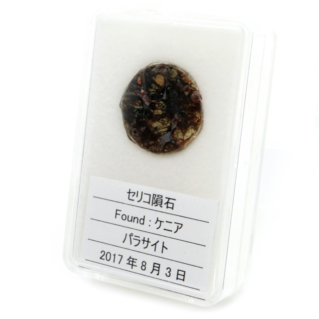 パラサイト隕石 ケニア セリコ産 重量0.7g 隕石標本 パワーストーン 1点物 石鉄隕石