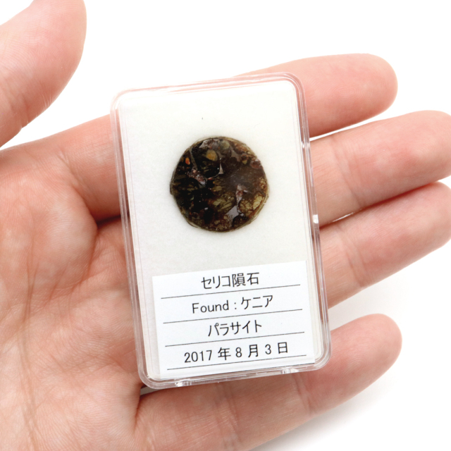 パラサイト隕石 ケニア セリコ産 重量0.7g 隕石標本 パワーストーン 1点物 石鉄隕石