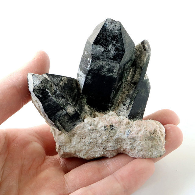 山東省産 モリオン 黒水晶 原石 浄化 魔除け 天然石 パワーストーン