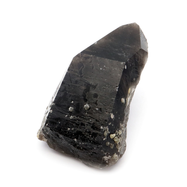 モリオン 黒水晶 原石 ポイント 山東省産 1点物 浄化 魔除け 天然石 パワーストーン Morion quartz
