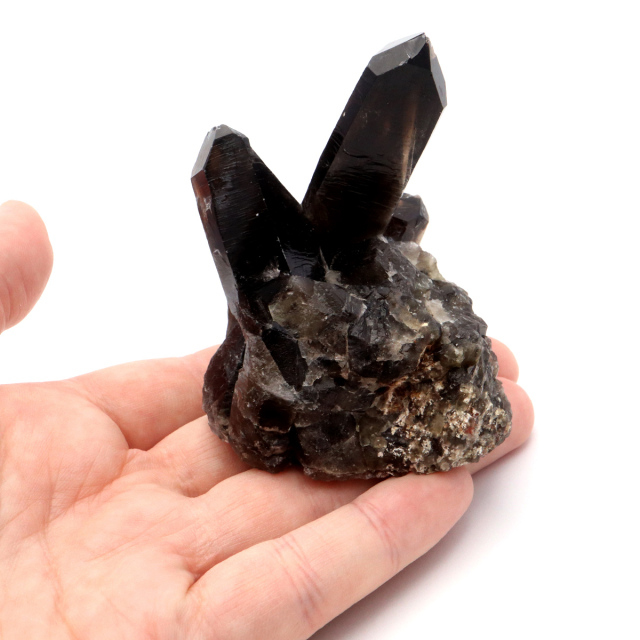 モリオン 黒水晶 原石 クラスター ポイント 山東省産 1点物 浄化 魔除け 天然石 パワーストーン Morion quartz