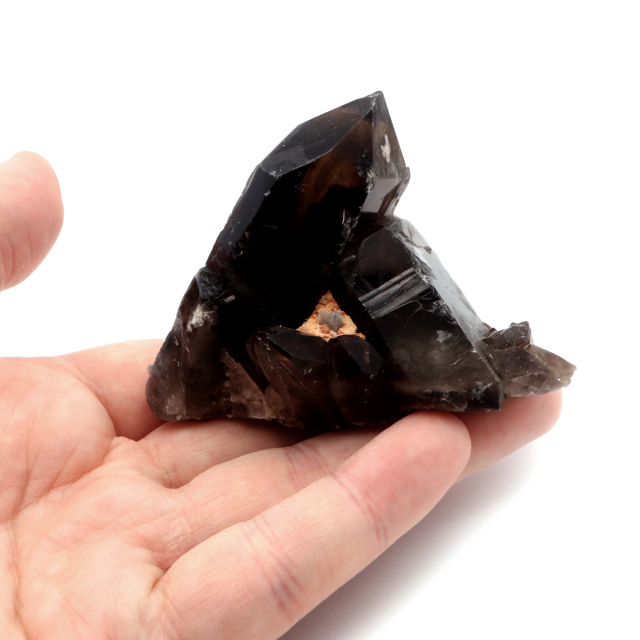 モリオン 黒水晶 原石 クラスター ポイント 山東省産 1点物 浄化 魔除け 天然石 パワーストーン Morion quartz