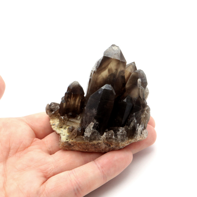 モリオン 黒水晶 原石 クラスター ポイント 山東省産 1点物 浄化 魔除け 天然石 パワーストーン Morion quartz