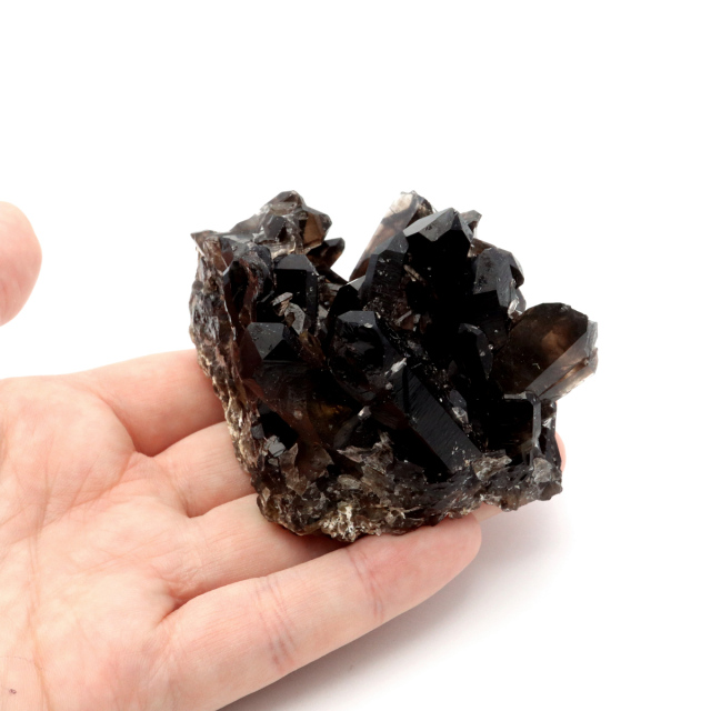 モリオン 黒水晶 原石 クラスター ポイント 山東省産 1点物 浄化 魔除け 天然石 パワーストーン Morion quartz