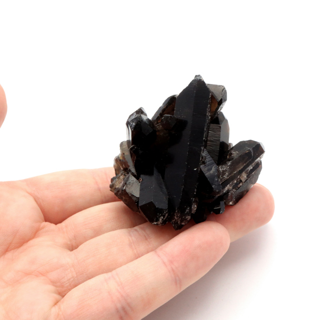 モリオン 黒水晶 原石 クラスター ポイント 山東省産 1点物 浄化 魔除け 天然石 パワーストーン Morion quartz