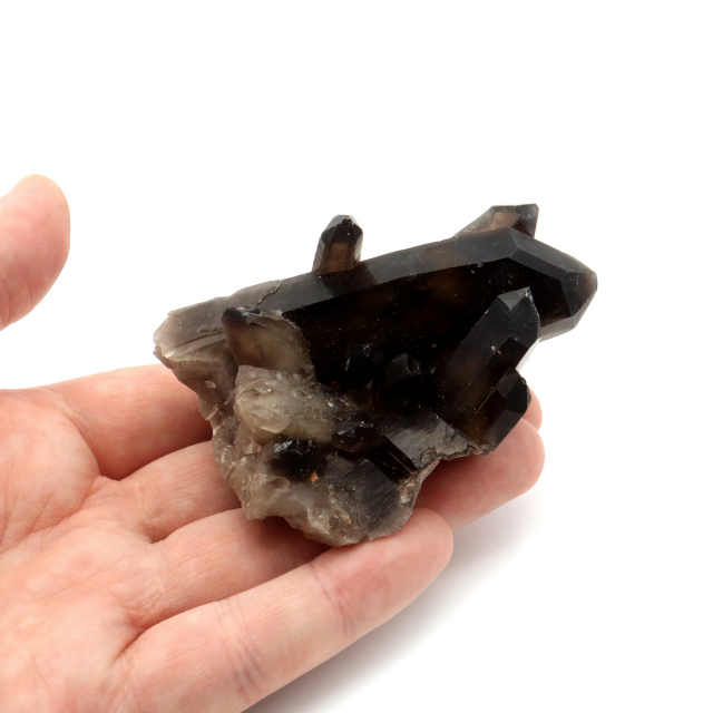 モリオン 黒水晶 原石 クラスター ポイント 山東省産 1点物 浄化 魔除け 天然石 パワーストーン Morion quartz