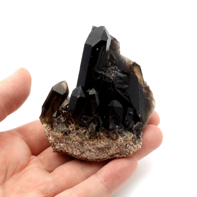 モリオン 黒水晶 原石 クラスター ポイント 山東省産 1点物 浄化 魔除け 天然石 パワーストーン Morion quartz