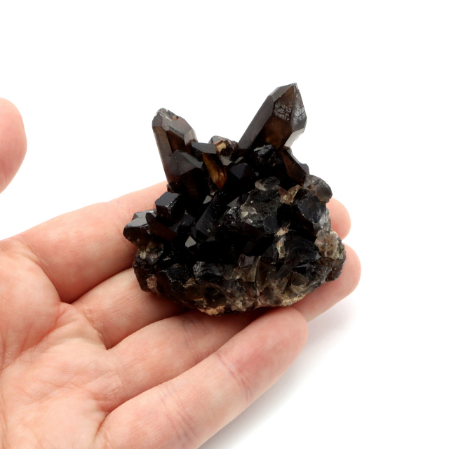 モリオン 黒水晶 原石 クラスター ポイント 山東省産 64g 1点物 浄化