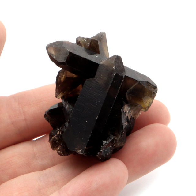 モリオン 黒水晶 原石 クラスター ポイント 山東省産 1点物 浄化 魔除け 天然石 パワーストーン Morion quartz