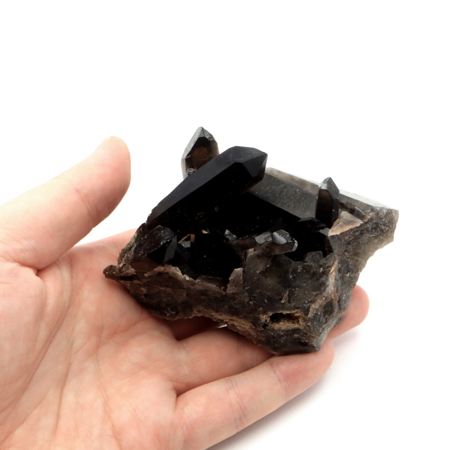 モリオン 黒水晶 原石 クラスター ポイント 山東省産 1点物 浄化 魔除け 天然石 パワーストーン Morion quartz
