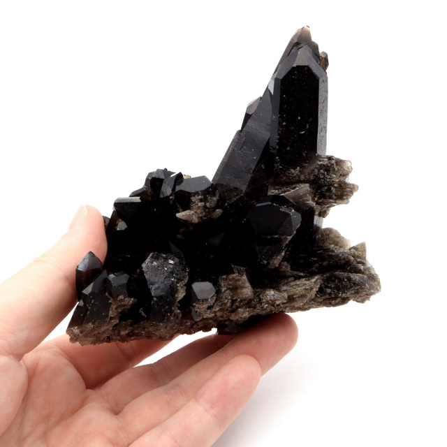モリオン 黒水晶 原石 クラスター ポイント 山東省産 1点物 浄化 魔除け 天然石 パワーストーン Morion quartz