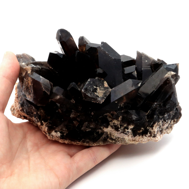 モリオン 黒水晶 原石 クラスター ポイント 山東省産 1点物 浄化 魔除け 天然石 パワーストーン Morion quartz