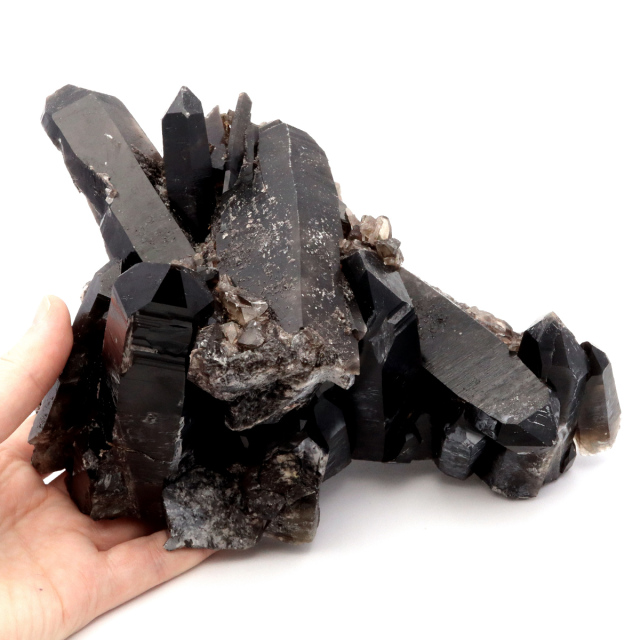 モリオン 黒水晶 原石 クラスター ポイント 山東省産 2.5kg 1点物 浄化
