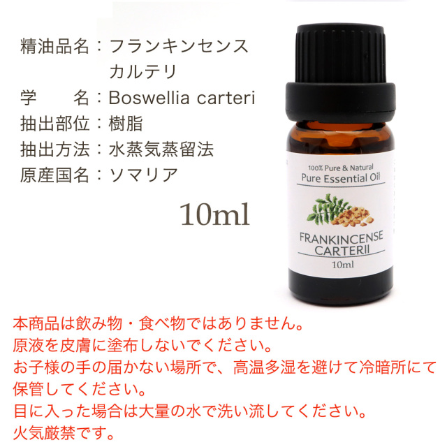 フランキンセンスカルテリ 精油 アロマオイル 10ml エッセンシャルオイル 天然成分100% 1本 スマッジング FrankincenseCarterii